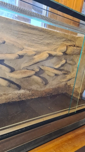 Terrarium 80 40 50cm Bild 3