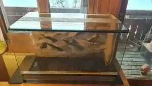 Terrarium 80 40 50cm Bild 2