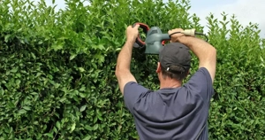  Frühling   wir bringen Ihren Garten in Form!  Bild 4