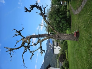  *Gartensaison gestartet!*  Bild 9