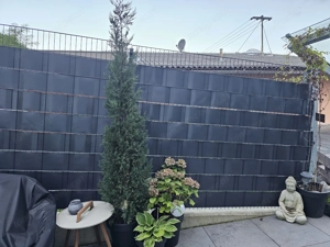  Garten   Frühjahrsputz  Bild 6