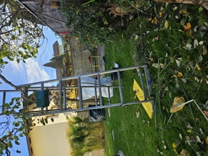  *Gartensaison gestartet!*  Bild 8