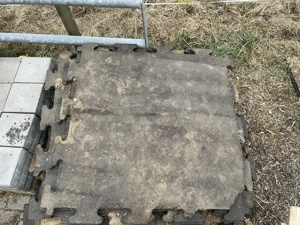Stallmatten zu verschenken  Bild 2