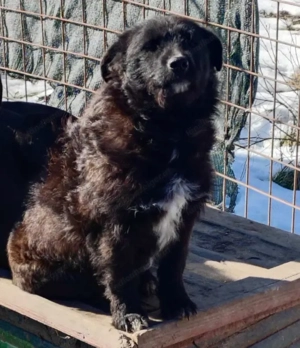 Palichitza wünscht sich Teil IHRER Familie zu sein Bild 3