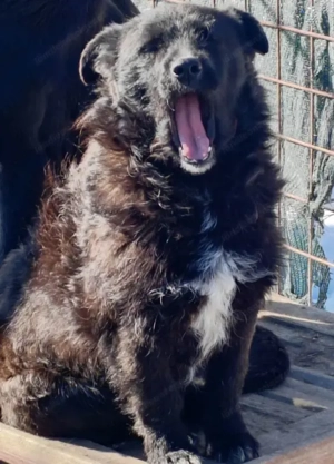 Palichitza wünscht sich Teil IHRER Familie zu sein Bild 4