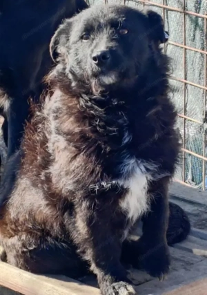 Palichitza wünscht sich Teil IHRER Familie zu sein Bild 2