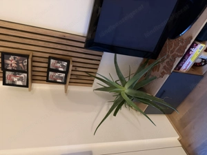 Wohnwand Anthrazit Eichefarben Bild 5