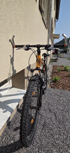 Genesis Delta Mountainbike  Bild 4