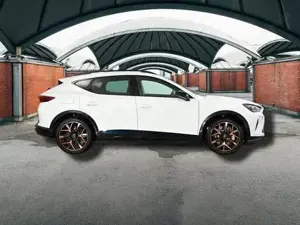 Cupra Formentor VZ 2.0 TSI 7-Gang-DSG 4Drive 245 kW (333 PS), A... Bild 9