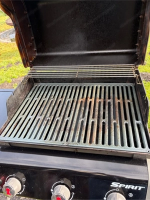 Weber Gasgrill Bild 3