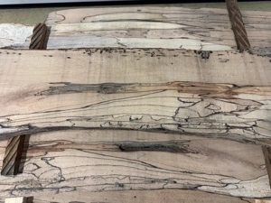 Bodensee Schwemmholz aufgeschnitte 50 mm Längen 220 cm und 120 cm In Halle 5 Jahre getrocknet Bild 3