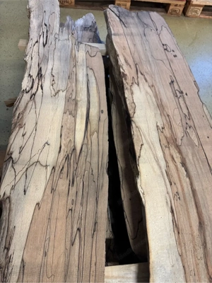 Bodensee Schwemmholz aufgeschnitte 50 mm Längen 220 cm und 120 cm In Halle 5 Jahre getrocknet Bild 5