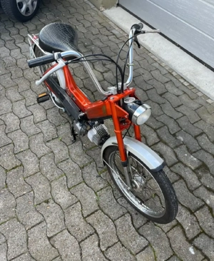 Puch Maxi N  Bild 3
