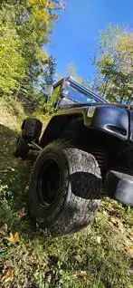 Jeep Wrangler Bild 8