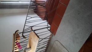 Einfamilienhaus in Alberschwende zu vermieten Bild 5