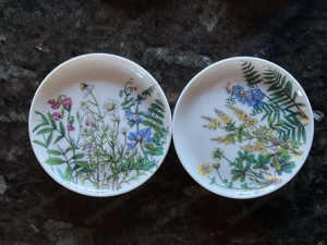 Verschiedene Porzelanuntersetzer Bild 2