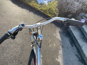 Herrenfahrrad Bild 4