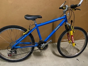 Jugendfahrrad Cresta Pro Tec