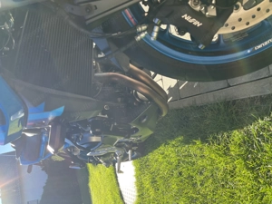 Suzuki GSX 800 8S Team Suzuki Sonder Edition Bild 4