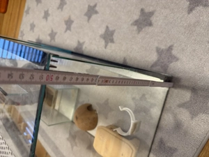 Glas Terrraium  Schönes Glasterrarium (100x40x50 cm) Bild 4