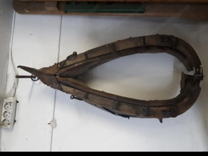 Wagenrad in Holz und Rosshalfter zum  herrichtenpro stück 40 Euro Bild 2