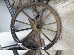 Wagenrad in Holz und Rosshalfter zum  herrichtenpro stück 40 Euro Bild 5