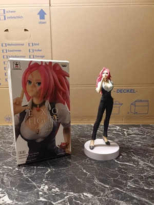 anime fate last encore francis drake