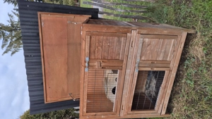 Kaninchenstall zu verschenken Bild 2