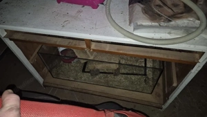    2  Glasterrarium ohne Deckel  Bild 2