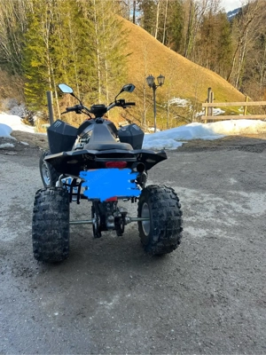 Quad 250 ccm Bild 4