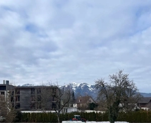 2,5 Zimmerwohnung Feldkirch Altenstadt Bild 2