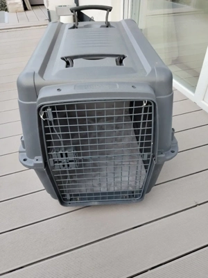 Hundebox 80x50x60cm Bild 2