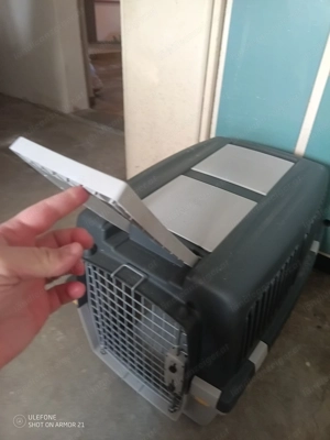 Hundetransportbox Bild 3