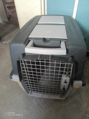 Hundetransportbox Bild 4