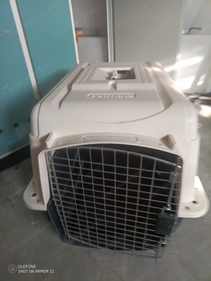 Hundetransportbox  Bild 2