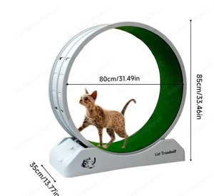 Katzenlaufrad neu! Bild 3