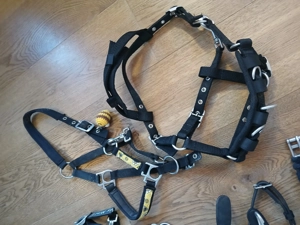 Shetty Zubehör zu verkaufen Bild 3