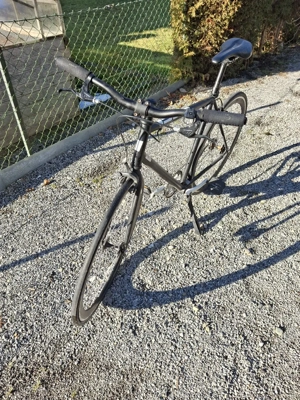 Bulls Singlespeed Bild 4