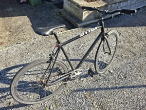 Bulls Singlespeed Bild 3