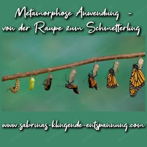 Metamorphose   Von der Raupe zum Schmetterling