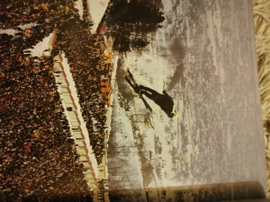 Olympia Bildbände  Bild 3