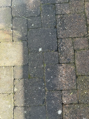 Pflastersteine Bild 3