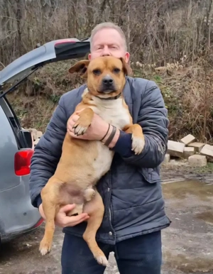 Meddo möchte Teil IHRER Familie werden Bild 2