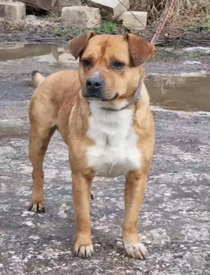 Meddo möchte Teil IHRER Familie werden Bild 3