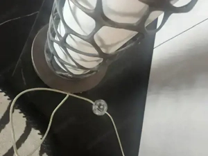 Roberto Cavalli  Deckenleuchte    Stehleuchte Bild 7