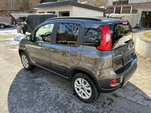 Verkaufe Fiat Panda 4x4 Diesel Bild 3