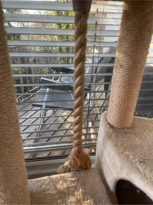 Katzenkratzbaum Bild 2