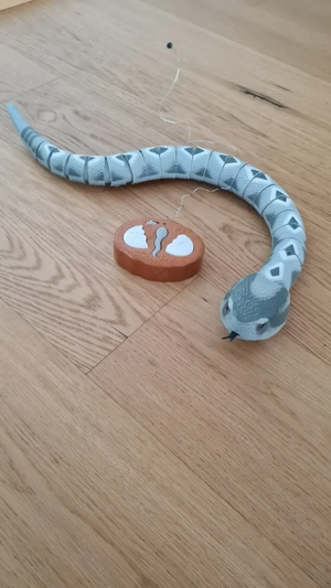 ferngesteuerte Schlange