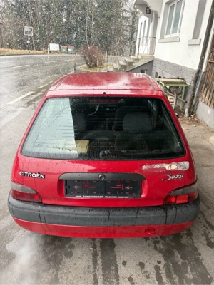 Citro n Saxo Bild 5
