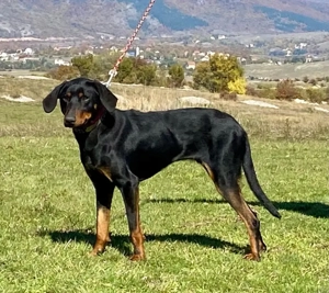 Selly sucht aktive Menschen Bild 4